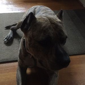 Meet your Posher, Walter